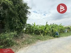 ขายที่ดิน เนื้อที่ 99 ตร.วา บางบัวทอง นนทบุรี-202510281017491761621469960.jpg