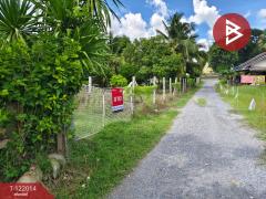 ขายบ้านเดี่ยวพร้อมที่ดิน เนื้อที่ 3 งาน 32.6 ตร.วา ท่าม่วง กาญจนบุรี-202510281033081761622388350.jpg