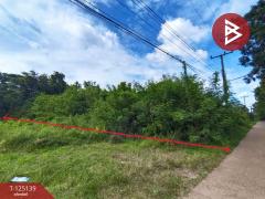 ขายที่ดิน เนื้อที่ 3 งาน 97.6 ตร.วา มีชัย หนองคาย-202510281116281761624988030.jpg