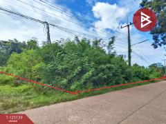 ขายที่ดิน เนื้อที่ 3 งาน 97.6 ตร.วา มีชัย หนองคาย-202510281116281761624988560.jpg