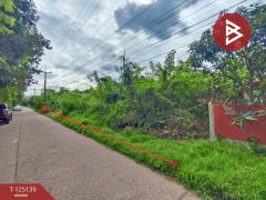 ขายที่ดิน เนื้อที่ 3 งาน 97.6 ตร.วา มีชัย หนองคาย-202510281116291761624989108.jpg