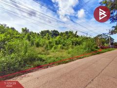 ขายที่ดิน เนื้อที่ 3 งาน 97.6 ตร.วา มีชัย หนองคาย-202510281116291761624989652.jpg