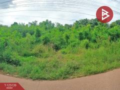 ขายที่ดิน เนื้อที่ 3 งาน 97.6 ตร.วา มีชัย หนองคาย-202510281116301761624990710.jpg