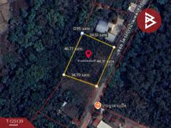 ขายที่ดิน เนื้อที่ 3 งาน 97.6 ตร.วา มีชัย หนองคาย-202510281116311761624991245.jpg