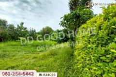 JN-824086 ที่ดินหนองแขม 124 ตร.ว. ซ.เพชรเกษม 79 แยก 9 ใกล้เดอะมอลล์ บางแค-202510281121211761625281025.jpg