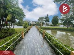 ขายบ้านแฝด หมู่บ้านไลฟ์อินเดอะการ์เด้น โรงโป๊ะ-มอเตอร์เวย์ (Life In The Garden Rongpo-Motorway)-202510281135501761626150585.jpg