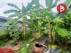 ขายบ้านเดี่ยว 2 ชั้น เนื้อที่ 92 ตารางวา กระทุ่มแบน สมุทรสาคร ทำเลดี-202510281211441761628304618.jpg