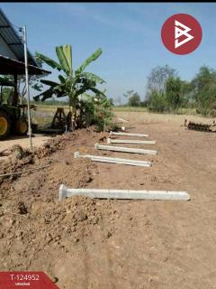 ขายที่ดิน เนื้อที่ 231.3 ตารางวา หนองเรือ ขอนแก่น-202510281218071761628687904.jpg