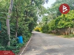 ขายที่ดิน เนื้อที่ 14 ไร่ 1 งาน 74 ตร.วา หันคา ชัยนาท-202510281224271761629067967.jpg