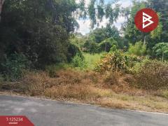 ขายที่ดิน เนื้อที่ 14 ไร่ 1 งาน 74 ตร.วา หันคา ชัยนาท-202510281224281761629068500.jpg