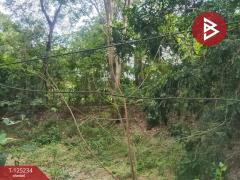 ขายที่ดิน เนื้อที่ 14 ไร่ 1 งาน 74 ตร.วา หันคา ชัยนาท-202510281224291761629069039.jpg