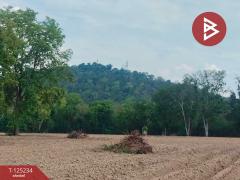 ขายที่ดิน เนื้อที่ 14 ไร่ 1 งาน 74 ตร.วา หันคา ชัยนาท-202510281224301761629070136.jpg