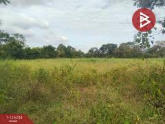 ขายที่ดิน เนื้อที่ 14 ไร่ 1 งาน 74 ตร.วา หันคา ชัยนาท-202510281224311761629071765.jpg