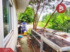 ขายบ้านเดี่ยว หมู่บ้านกรีนเฮ้าส์ แปลงยาว ฉะเชิงเทรา-202510281228091761629289282.jpg