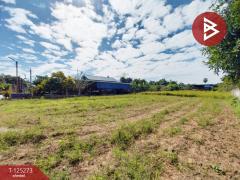 ขายที่ดิน เนื้อที่ 1 ไร่ 43 ตารางวา ต.หาดกรวด อุตรดิตถ์-202510281252551761630775476.jpg