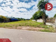 ขายที่ดิน เนื้อที่ 1 ไร่ 43 ตารางวา ต.หาดกรวด อุตรดิตถ์-202510281252571761630777066.jpg