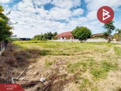 ขายที่ดิน เนื้อที่ 1 ไร่ 43 ตารางวา ต.หาดกรวด อุตรดิตถ์-202510281252581761630778655.jpg