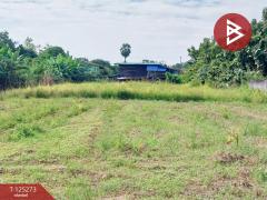 ขายที่ดิน เนื้อที่ 1 ไร่ 43 ตารางวา ต.หาดกรวด อุตรดิตถ์-202510281253001761630780825.jpg