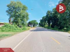 ขายที่ดิน เนื้อที่ 1 ไร่ 43 ตารางวา ต.หาดกรวด อุตรดิตถ์-202510281253011761630781356.jpg