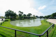 ขายบ้านเดี่ยวหรู แถมเฟอร์พร้อมอยู่ มัณฑนา ราชพฤกษ์-นครอินทร์ ใกล้ถนน บางกรวย - ไทรน้อย ขนาด 78 ตรว-202510281335271761633327613.jpg