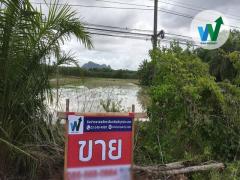 ขายที่ดิน ควนขนุน พัทลุง เดินทางไปในเมืองพัทลุง 27 กิโลเมตร