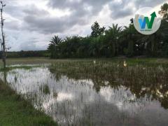 ขายที่ดิน ควนขนุน พัทลุง เดินทางไปในเมืองพัทลุง 27 กิโลเมตร-202510281439591761637199761.jpg