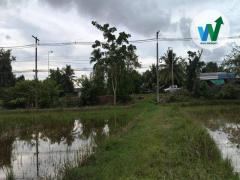 ขายที่ดิน ควนขนุน พัทลุง เดินทางไปในเมืองพัทลุง 27 กิโลเมตร-202510281440001761637200737.jpg