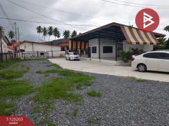 ขายบ้านเดี่ยวชั้นเดียว เนื้อที่ 1 ไร่ 82.7 ตร.วา สิชล นครศรีธรรมราช-202510281442211761637341314.jpg