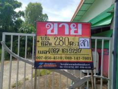 ขายบ้ที่ดิน พร้อมสิ่งปลูกสร้าง 280 วา   ราคาถูก  ม.7 บ้านหนองหญ้าม้า  หัวรอ  เมืองพิษณุโลก