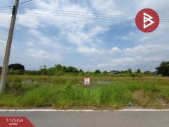 ขายที่ดิน-เนื้อที่-1-งาน-บางใหญ่-นนทบ