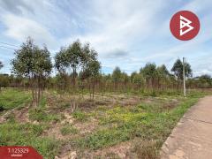 ขายที่ดิน เนื้อที่ 4 ไร่ 3 งาน 78.3 ตารางวา กบินทร์บุรี ปราจีนบุรี