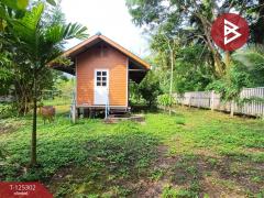 ขายบ้านเดี่ยวพร้อมที่ดิน เนื้อที่ 1 ไร่ 3 งาน 67 ตร.วา อัมพวา สมุทรสงคราม-202510281619321761643172981.jpg