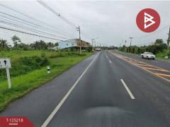 ขายอาคารพาณิชย์ 2 ชั้น เนื้อที่ 64 ตร.วา กระสัง บุรีรัมย์-202510281721261761646886928.jpg