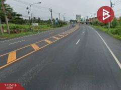 ขายอาคารพาณิชย์ 2 ชั้น เนื้อที่ 64 ตร.วา กระสัง บุรีรัมย์-202510281721271761646887450.jpg