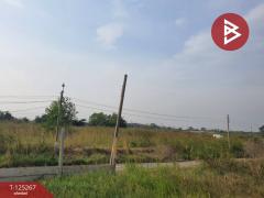 ขายที่ดิน เนื้อที่ 1 ไร่ 19 ตร.วา หนองจอก กรุงเทพมหานคร-202510281732111761647531971.jpg