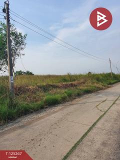 ขายที่ดิน เนื้อที่ 1 ไร่ 19 ตร.วา หนองจอก กรุงเทพมหานคร-202510281732121761647532512.jpg