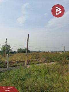 ขายที่ดิน เนื้อที่ 1 ไร่ 19 ตร.วา หนองจอก กรุงเทพมหานคร-202510281732131761647533041.jpg