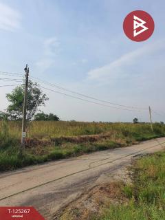 ขายที่ดิน เนื้อที่ 1 ไร่ 19 ตร.วา หนองจอก กรุงเทพมหานคร-202510281732131761647533575.jpg