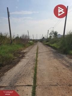 ขายที่ดิน เนื้อที่ 1 ไร่ 19 ตร.วา หนองจอก กรุงเทพมหานคร-202510281732141761647534103.jpg