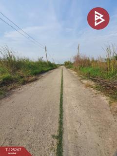 ขายที่ดิน เนื้อที่ 1 ไร่ 19 ตร.วา หนองจอก กรุงเทพมหานคร-202510281732141761647534637.jpg