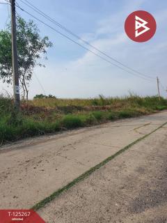 ขายที่ดิน เนื้อที่ 1 ไร่ 19 ตร.วา หนองจอก กรุงเทพมหานคร-202510281732151761647535175.jpg