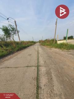 ขายที่ดิน เนื้อที่ 1 ไร่ 19 ตร.วา หนองจอก กรุงเทพมหานคร-202510281732161761647536335.jpg