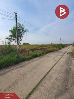 ขายที่ดิน เนื้อที่ 1 ไร่ 19 ตร.วา หนองจอก กรุงเทพมหานคร-202510281732161761647536883.jpg