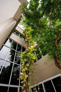 ขายบ้านเดี่ยว 3 ชั้น 51 ตรว. 375 ตรม. 5ห้องนอน รีโนเวทใหม่ ใกล้ BTS หมอชิต เขตจตุจักร กรุงเทพ-202510281955421761656142712.jpeg