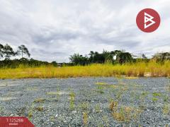 ขายที่ดิน เนื้อที่ 2 งาน แสลง จันทบุรี