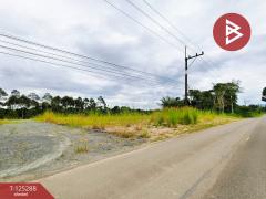 ขายที่ดิน เนื้อที่ 2 งาน แสลง จันทบุรี-202510282112181761660738468.jpg