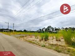 ขายที่ดิน เนื้อที่ 2 งาน แสลง จันทบุรี-202510282112191761660739370.jpg