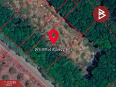 ขายที่ดิน เนื้อที่ 2 งาน แสลง จันทบุรี-202510282112191761660739899.jpg