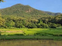 ที่ดินแปลงสวย ขายยกแปลง ออนใต้ สันกำแพง              