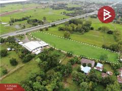 ขายที่ดิน เนื้อที่ 7 ไร่ 1 งาน 0.5 ตร.วา สีแก้ว ร้อยเอ็ด-202510290943181761705798373.jpg